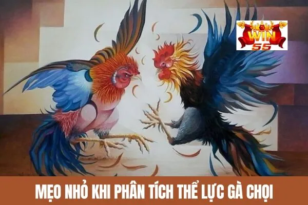 Mẹo Nhỏ Khi Phân Tích Thể Lực Gà Chọi